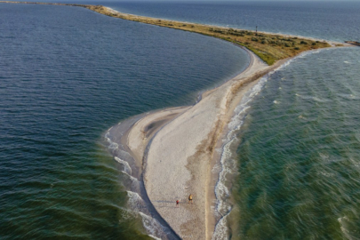 Savaşın ekolojik bedeli: Ukrayna 272 bin hektarlık deniz koruma alanının kontrolünü kaybetti