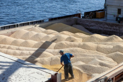 Belarus, çalıntı Ukrayna tahılını “Belarus malı” olarak satıyor