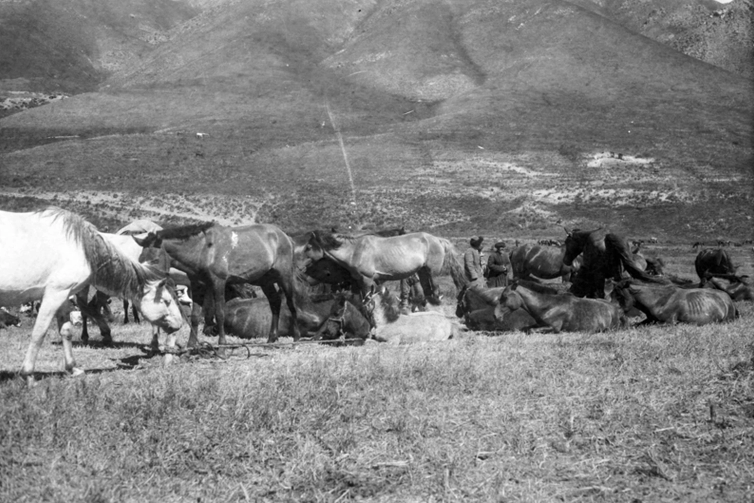 Bir asır öncesine yolculuk: Amerikalı yazarın objektifinden 1927 yılı Doğu Türkistan fotoğrafları