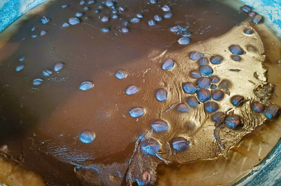 Nevruz’un asırlık mirası: Semeni helvası sofralara bahar ve şifa taşıyor