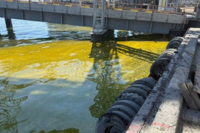 Rusya’nın liman saldırısı ekolojik yıkıma dönüştü: Çornomorsk’ta tonlarca yağ denize döküldü