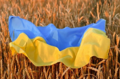 Ukrayna, tahıl ihracatı için komşularıyla alternatif koridorları genişletiyor