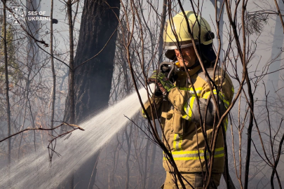 Fransa'ya yardıma giden Ukraynalı itfaiyeciler yerleşim yerine yaklaşan yangını söndürdü!