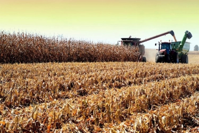 Ukrayna’da yeni sezon tahıl hasadında 30,8 milyon tona ulaşıldı