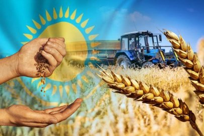 Rusya, Kazakistan tahılının Avrupa yolunu tıkadı