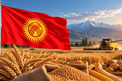 Kırgızistan’da tahıl üretimi rekor seviyeye yaklaştı